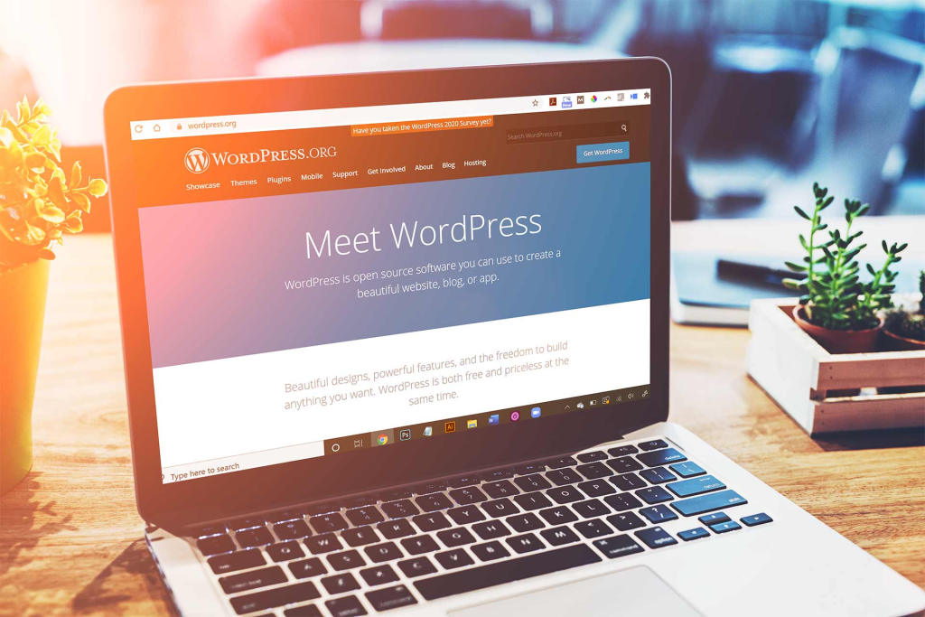Information About WordPress - Cornerstone Digital