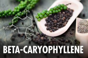 beta-caryophyllene