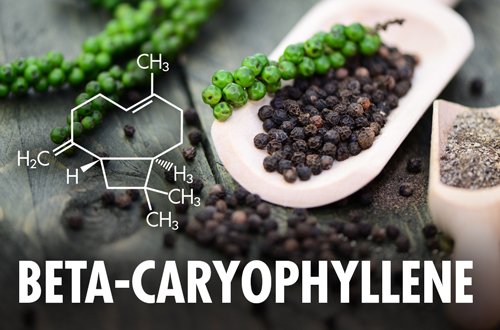 beta-caryophyllene