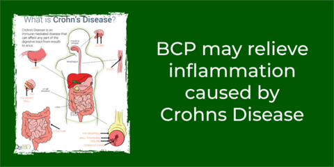 BCP in Inflammation Treatment