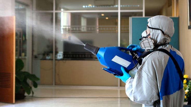 pest control in Regina